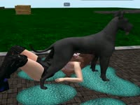 Slutty brunette dressed in knee high boots gets face fucked by humungous black dog outdoors